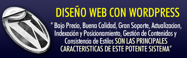 BANERWP Diseño de paginas web con wordpress